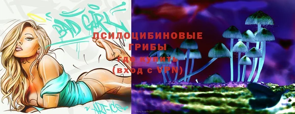 амф Беломорск