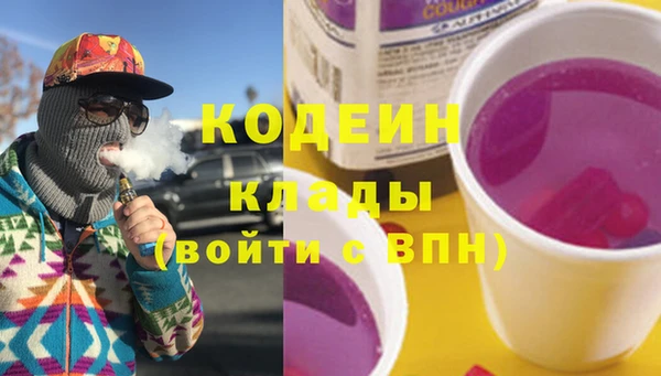 таблы Бородино