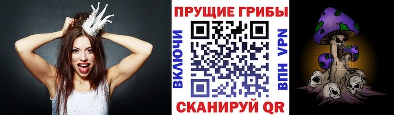 Галлюциногенные грибы Psilocybe Заозёрный